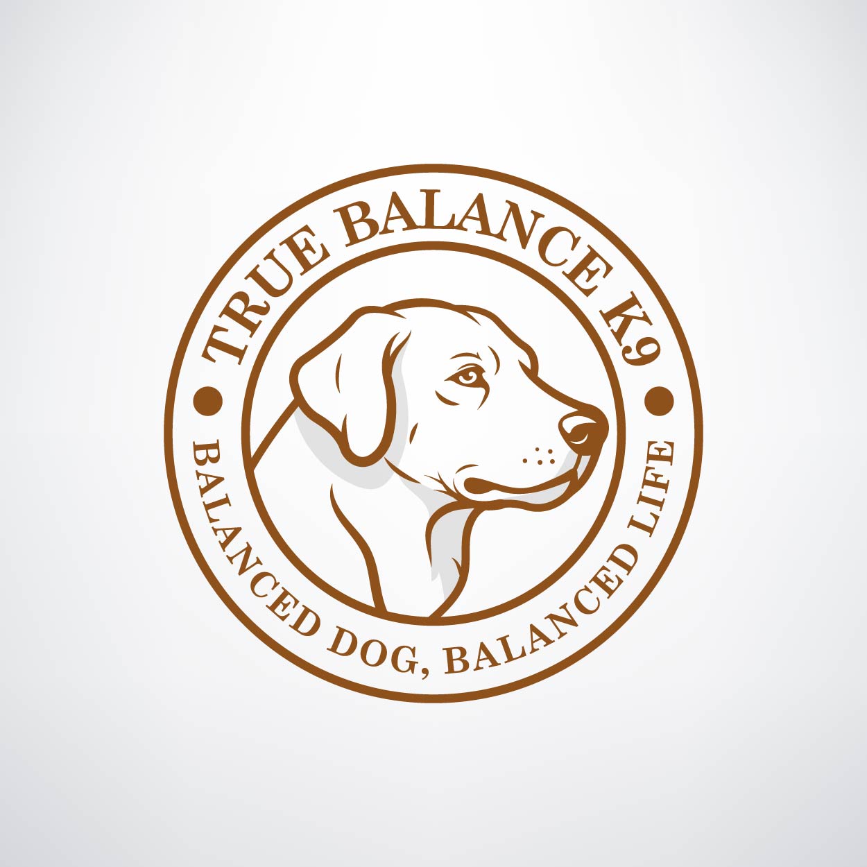 FREE Loose Leash Walking Webinar