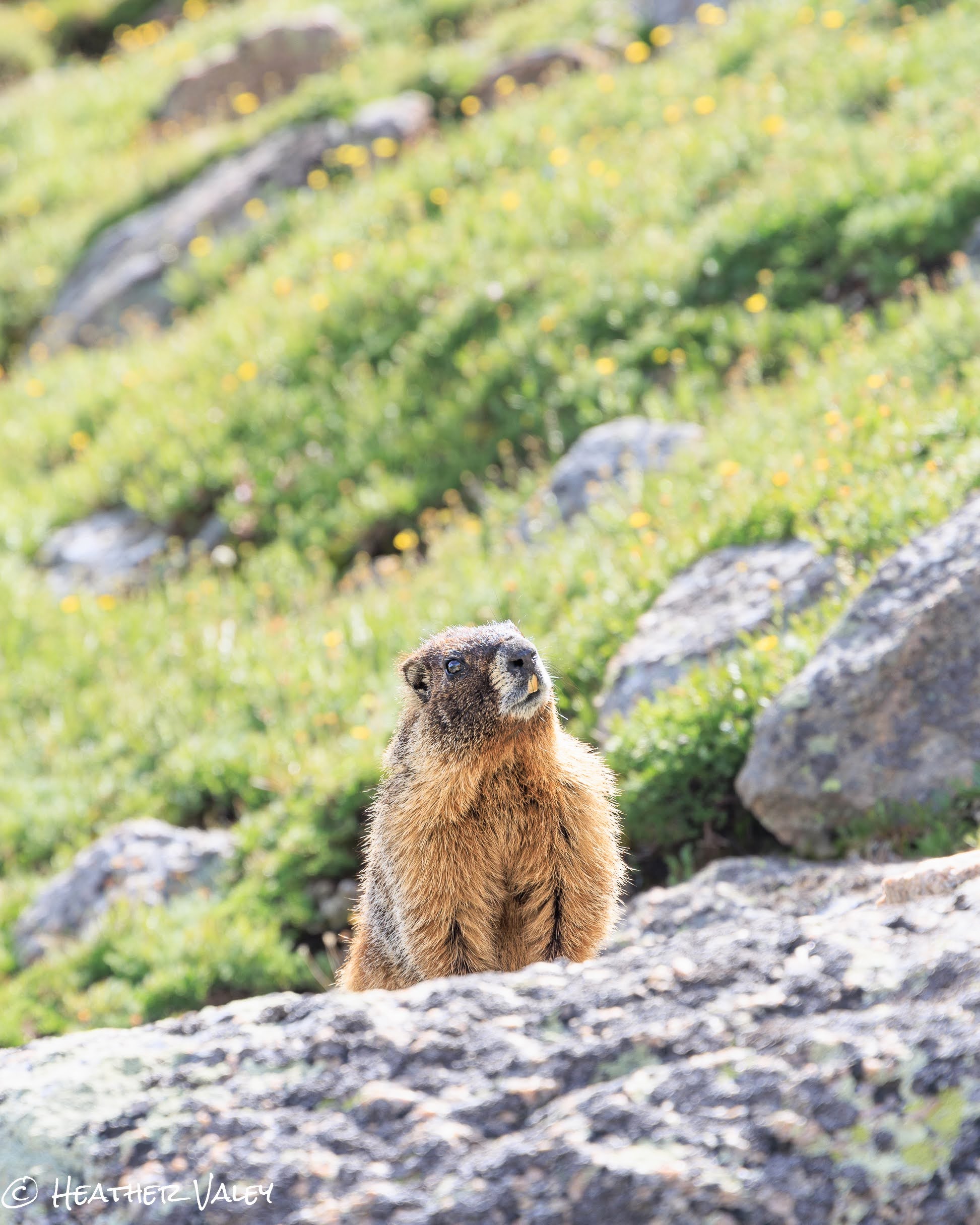 Get BEST Nature Fix delivered to your inbox.