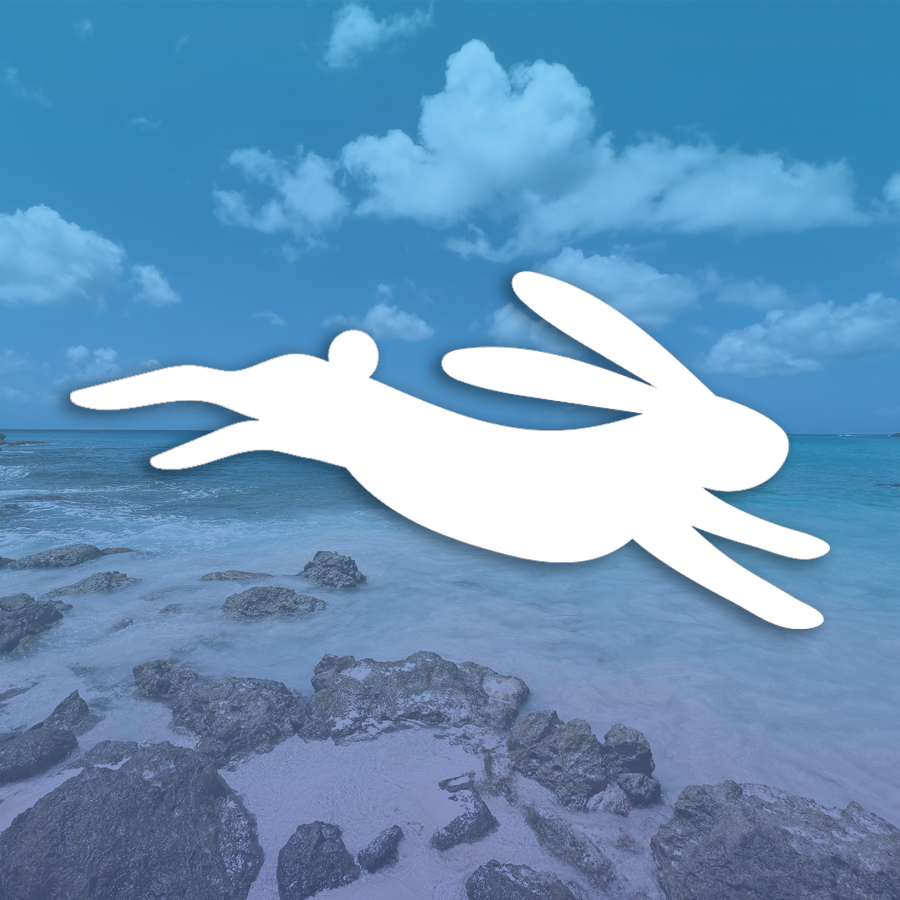 Travel updates delivered to your inbox.