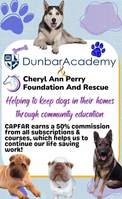The Best Online Resource for Puppy/Dog Owners!