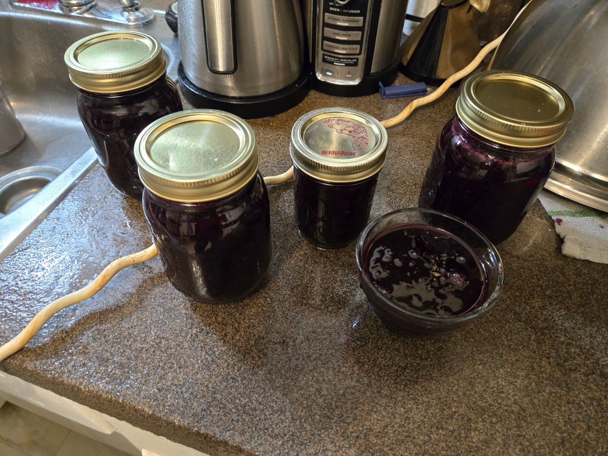 Picture of Shawn's homemade Grape Jam