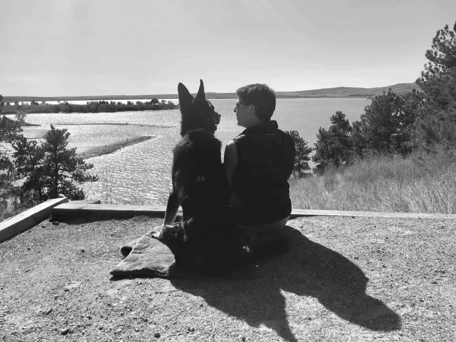 GoPetFriendly and Do More Together!
