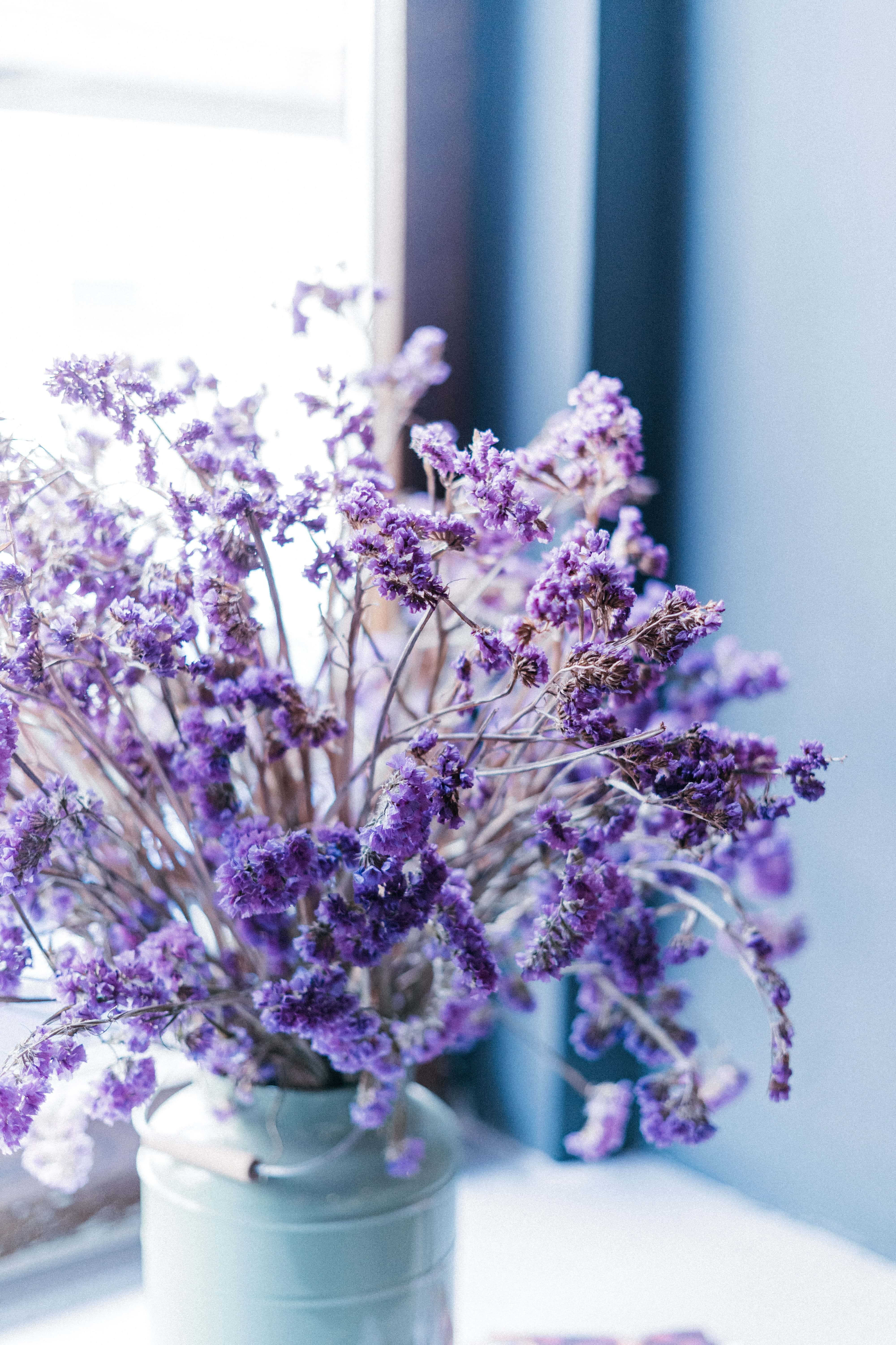 dōTERRA Newsletter abonieren
