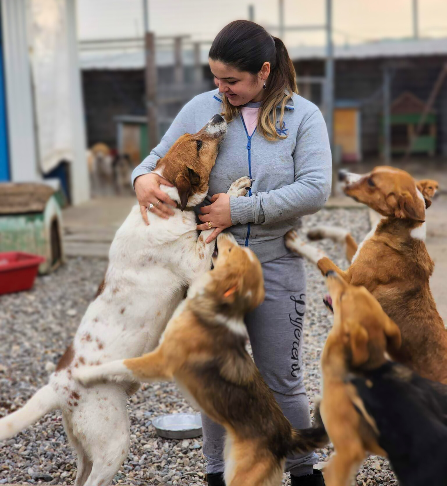 Join the Pack: Be Part of Saving Albania’s Animals