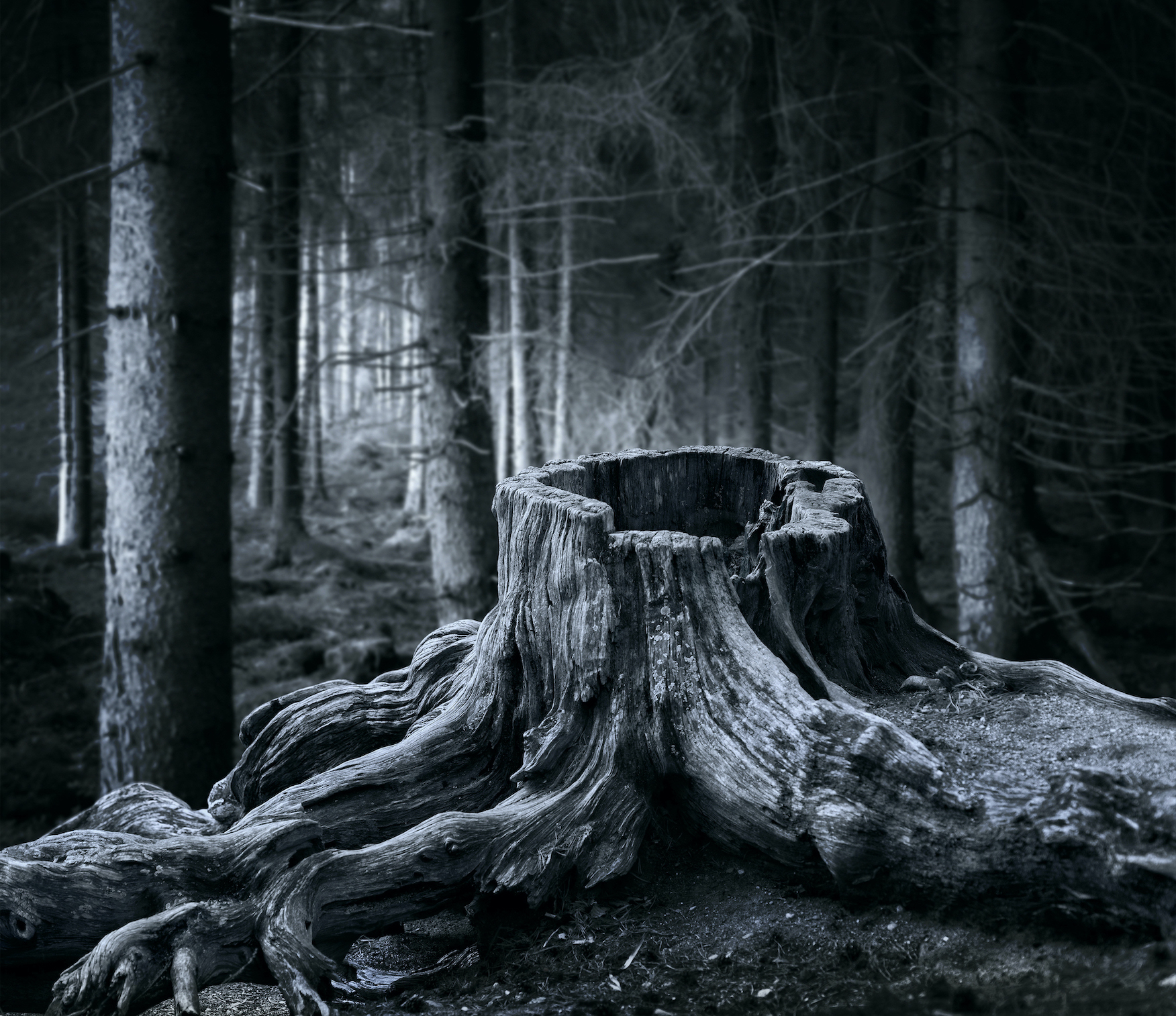 Get a FREE horror story delivered to your inbox.