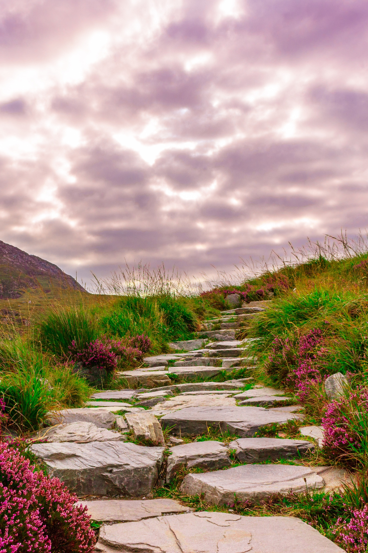 The Traveler’s Cafe: the online business journey