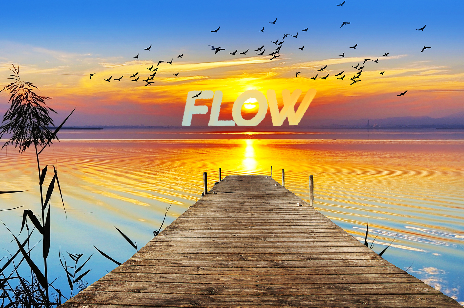 Flow Spa Friends - Win a Free Float!