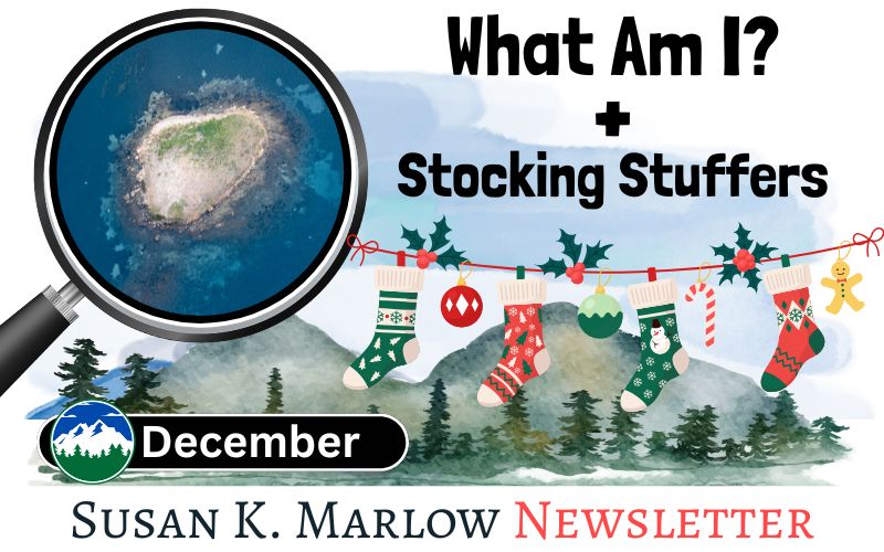 🔎 December What Am I ❄️