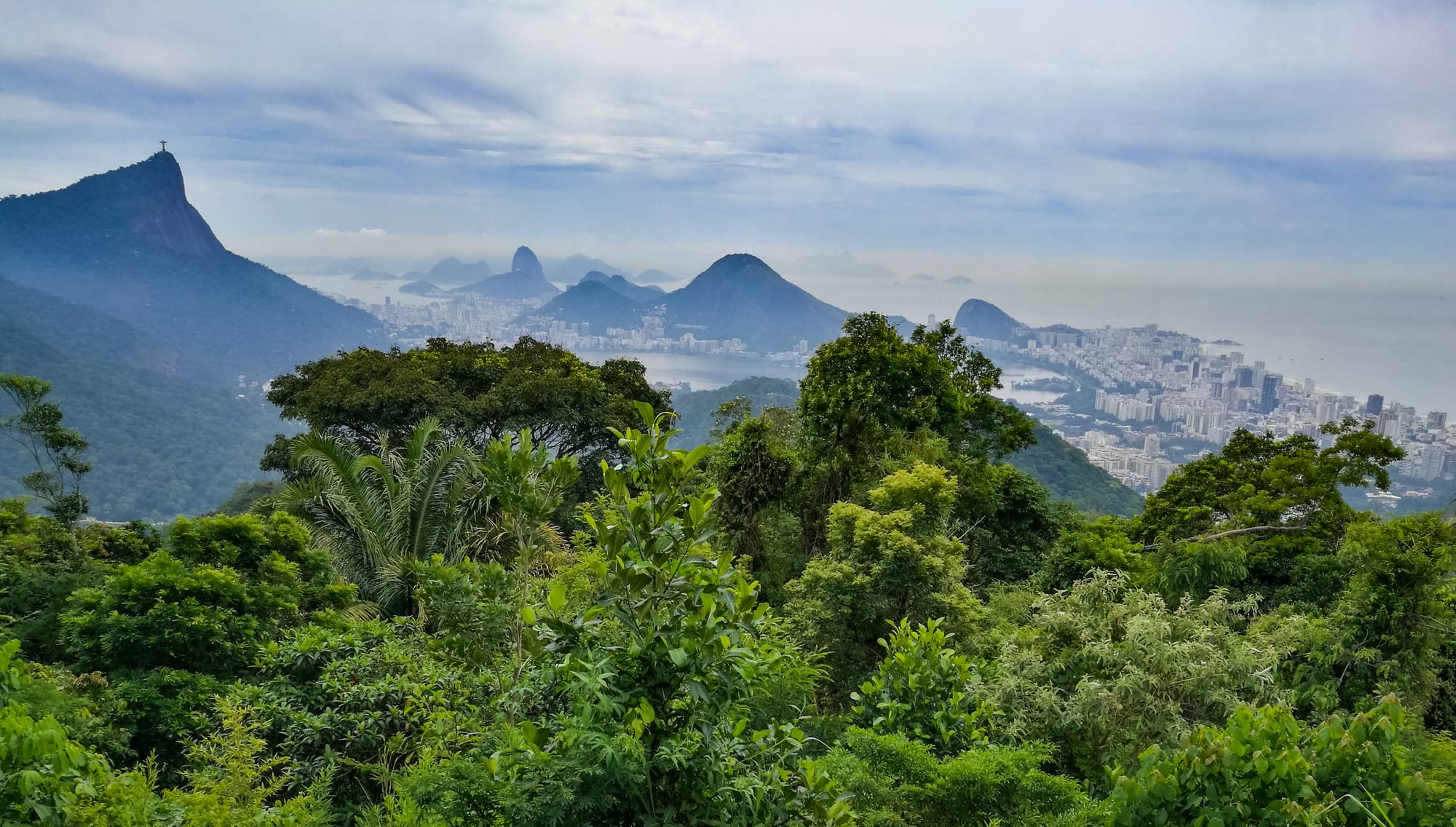 Learn Brazilian Portuguese - Free Newsletter