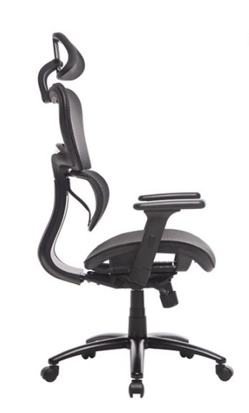 Ergoal - #1 Ergonomic Office Chair