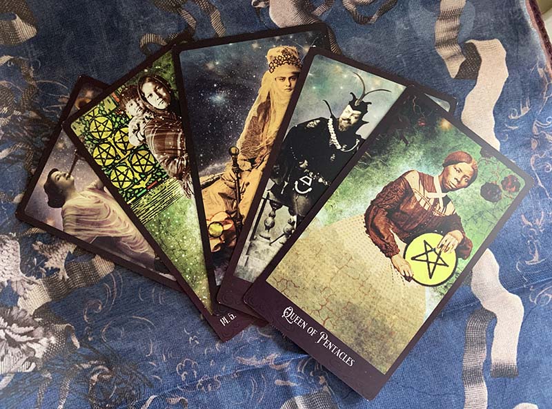 Sage and Shadow Newsletter