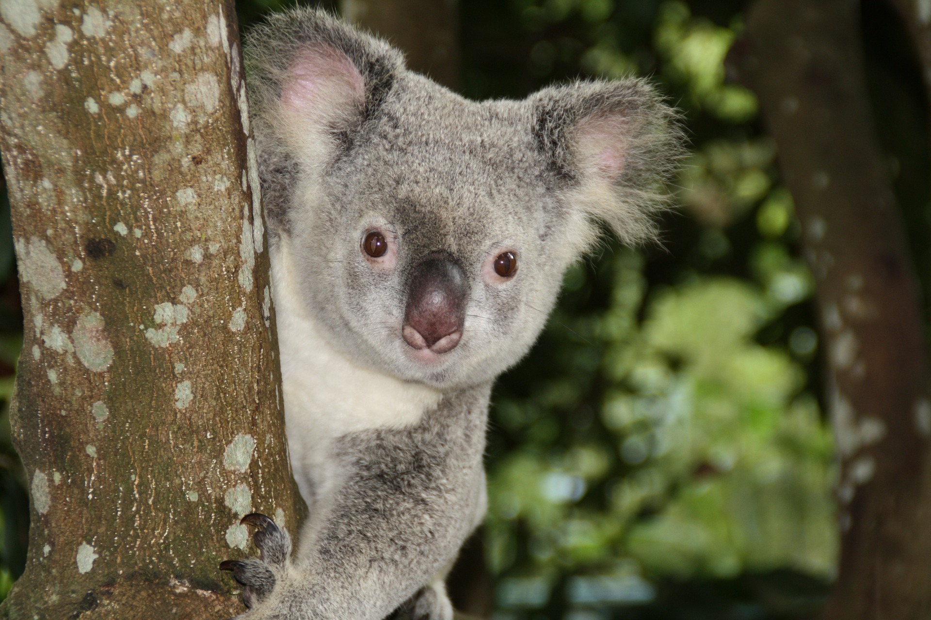 Get the BEST updates on Australian migration news delivered to your inbox.