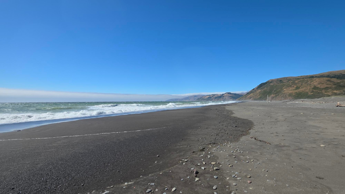 A lonely stretch of deserted shoreline along the Pacific Ocean in Northern California.