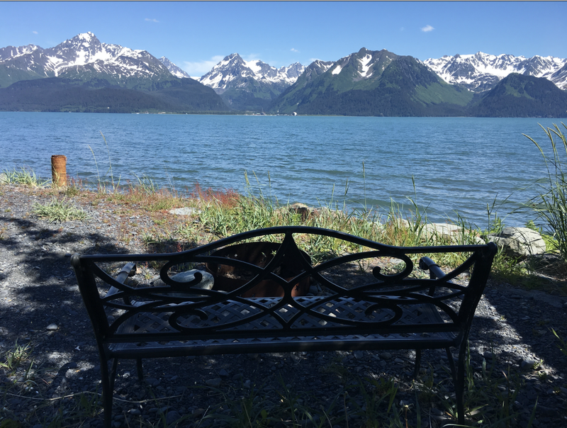 Angels Rest on Resurrection Bay LLC Mailing List Portal