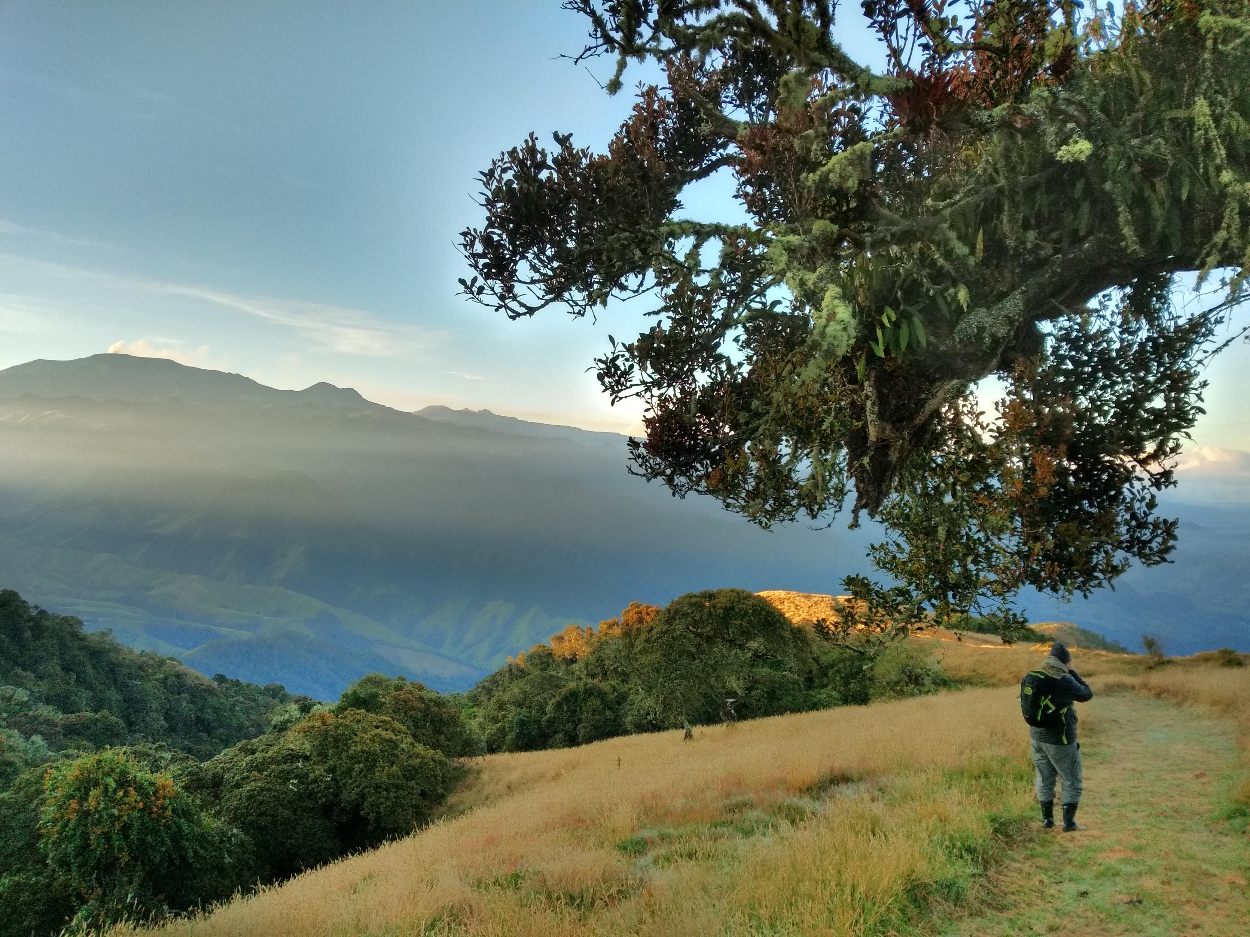 Blog turístico colombiano; donde comer, donde viajar, que hacer y lugares por conocer en Colombia! Regístrate ¡Aquí!