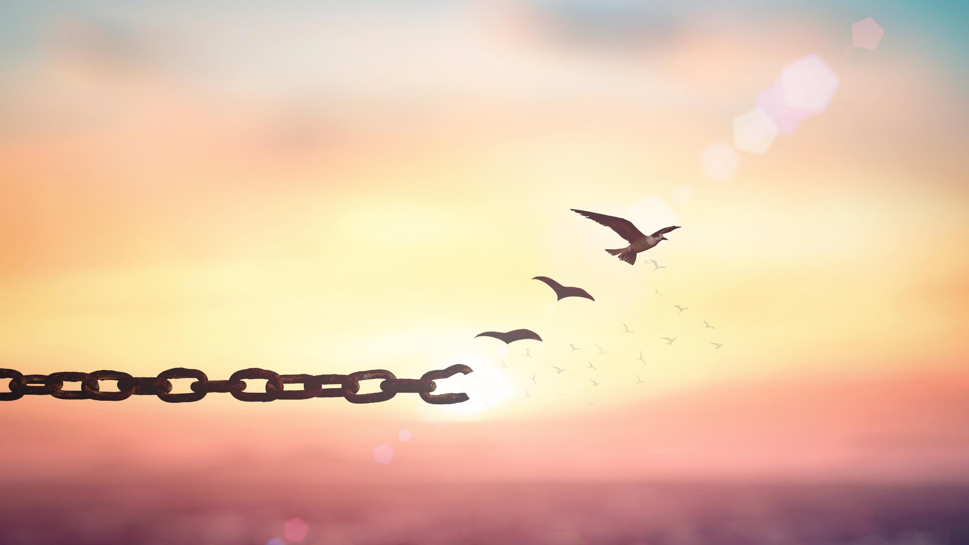 Stay connected