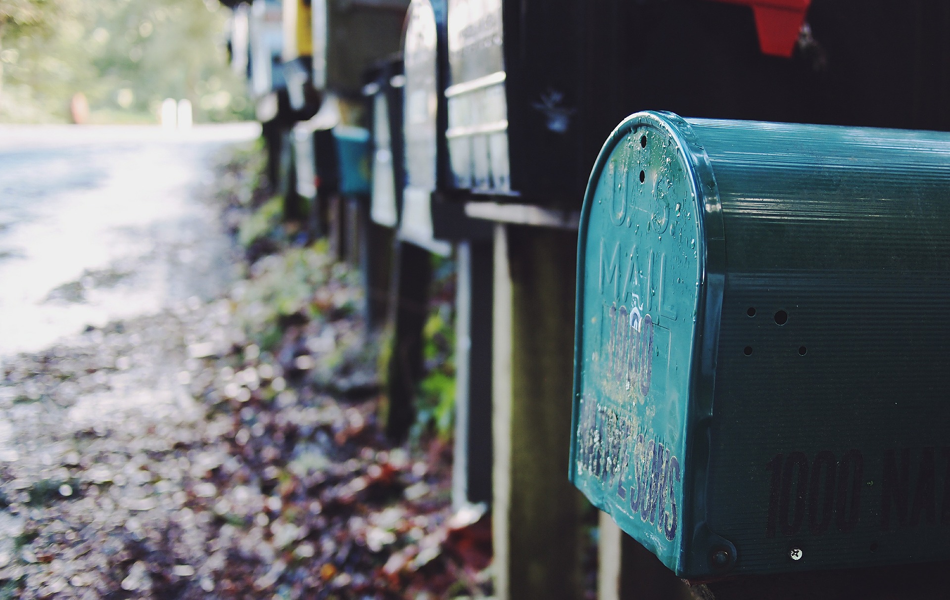 Newsletter per autori - di Lucia C. Silver