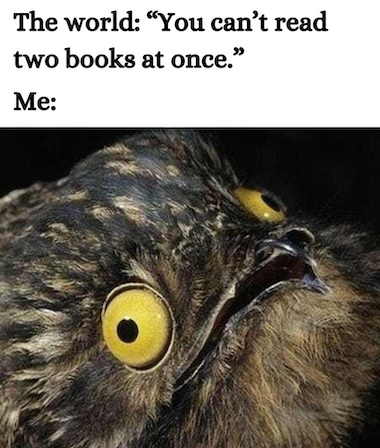 Over an image of a potoo bird with eyes looking different directions, this text. The world: You can't read two books at once. Me: