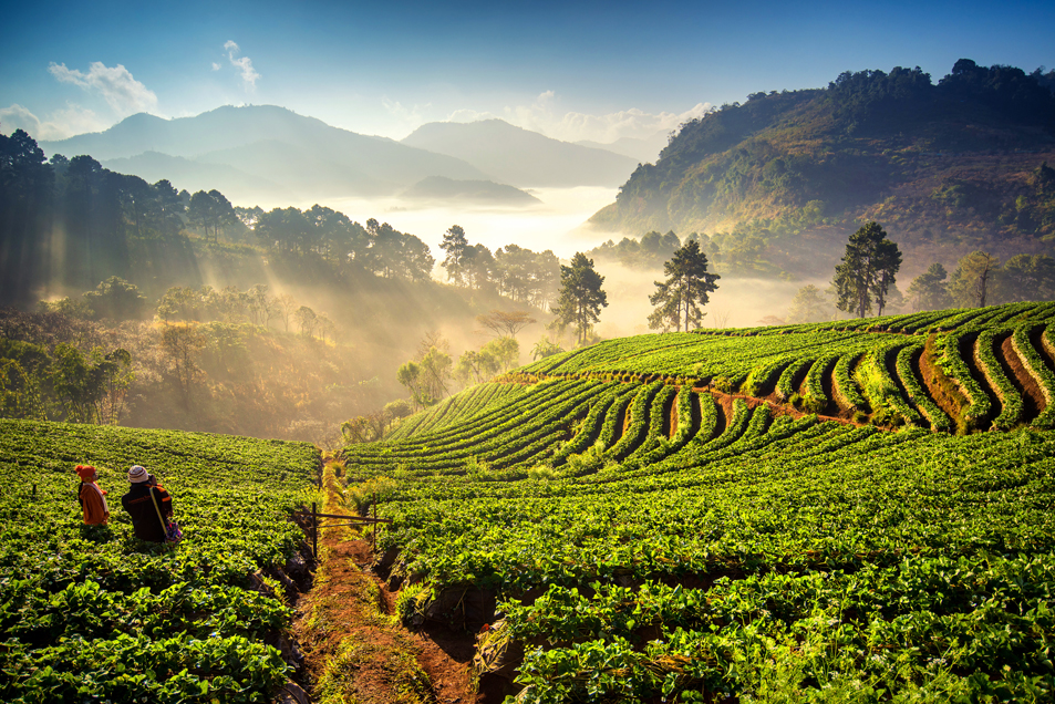 Get the BEST updates on Thailand
