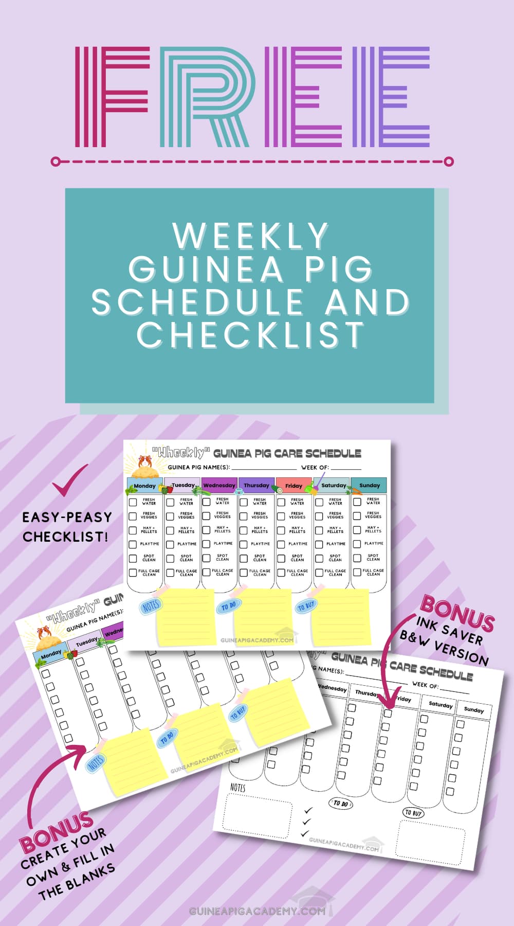 Grab your FREE Weekly Guinea Pig Schedule + Checklist