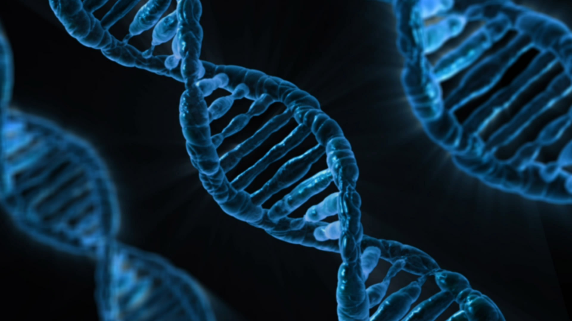 The Genetica Saga Novel Updates