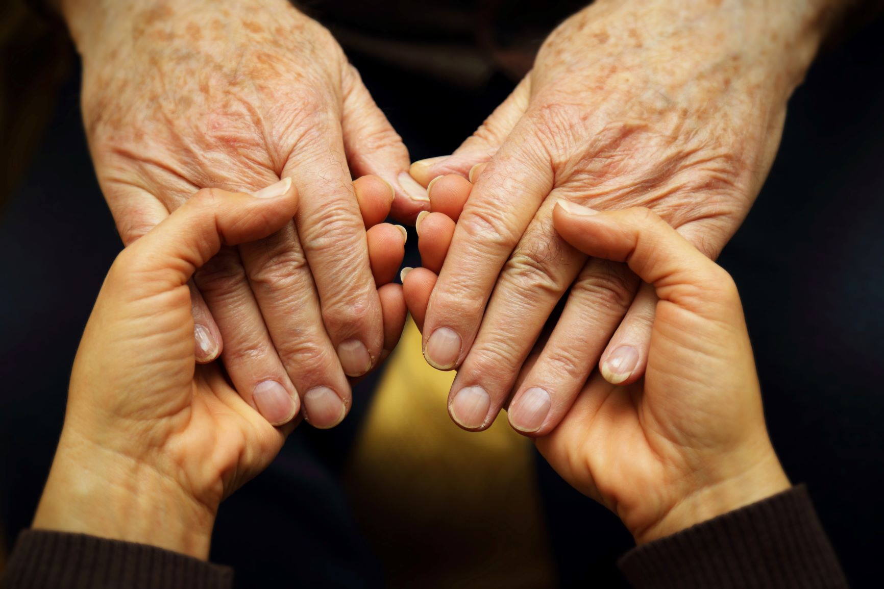 Get the Latest Elder Law News Delivered To Your Inbox.