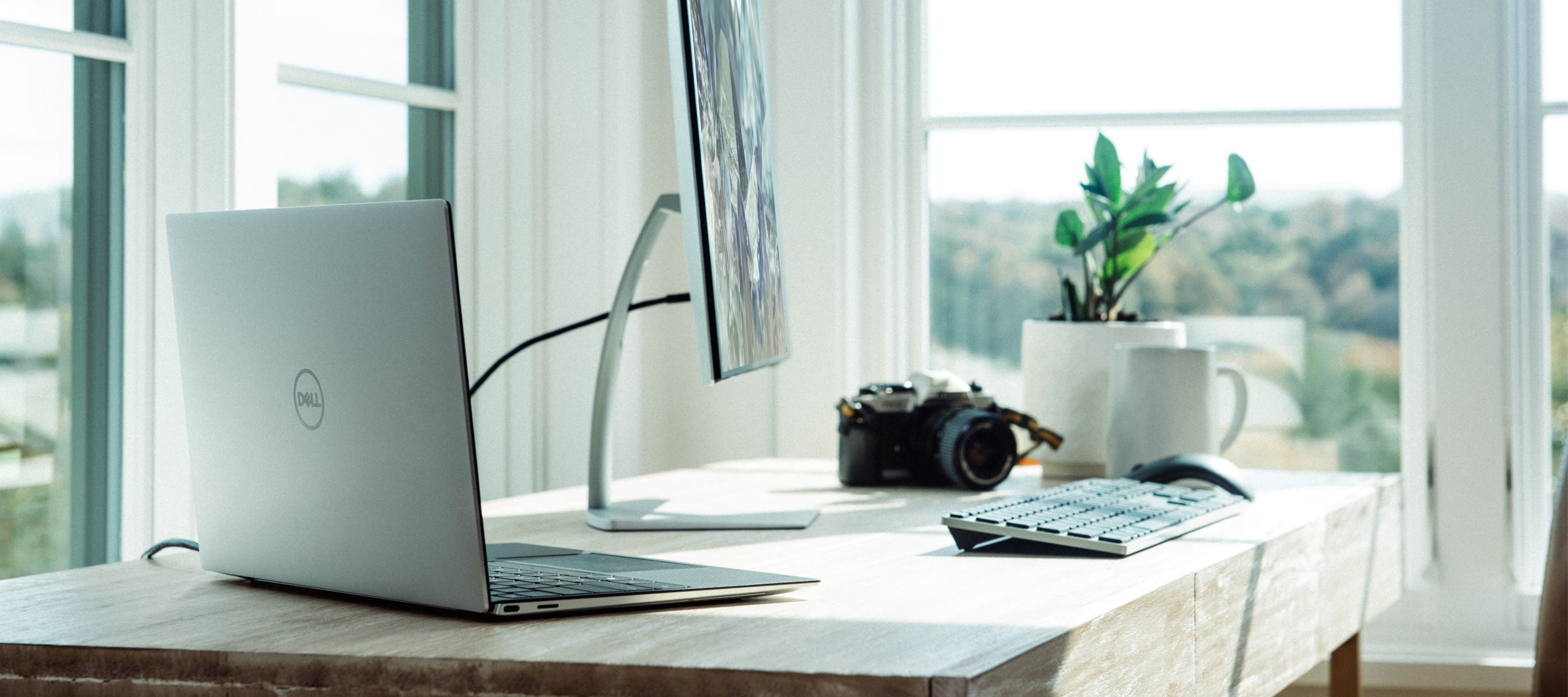 What you need to know about your website