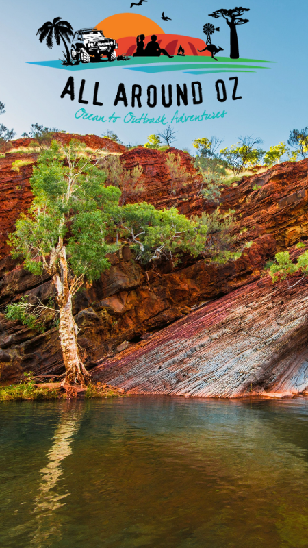 Join The All Around Oz Crew!