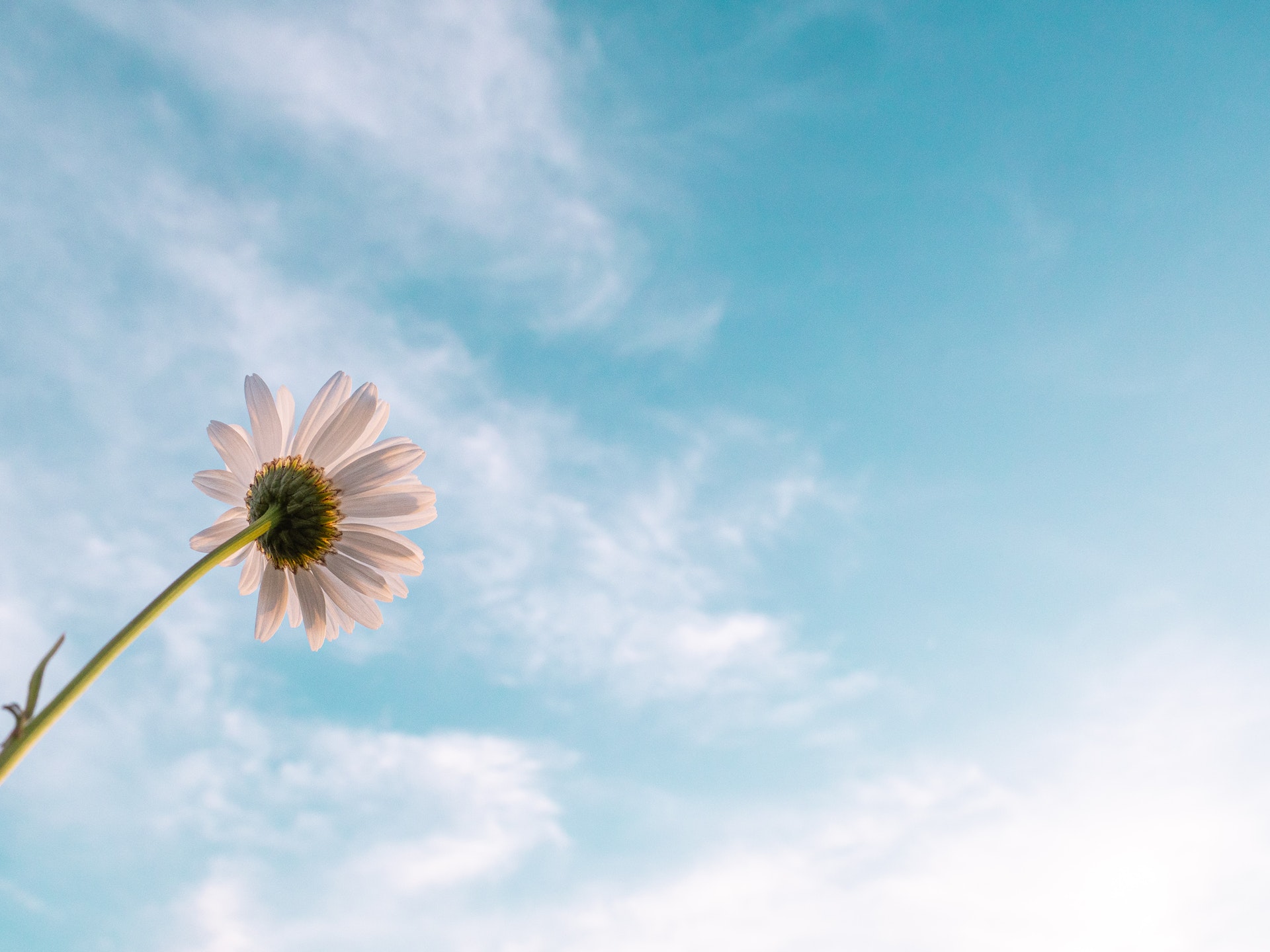 Transform Your Day, Capture Time: mindfully putting AI to work for you