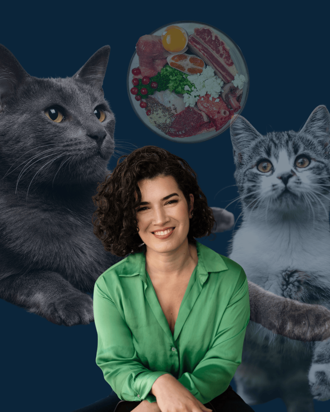 Lista de Espera Alimentação Natural Gatos