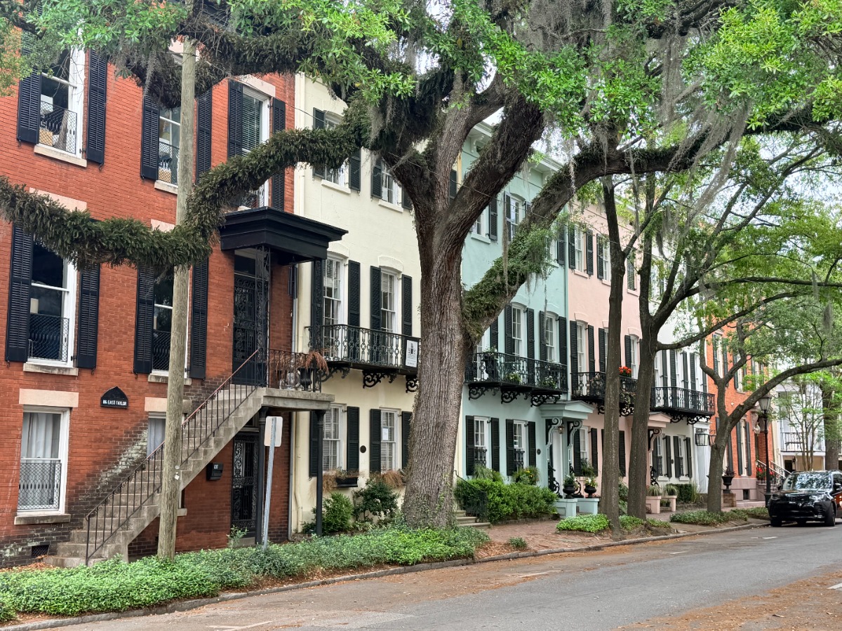 SALT Newsletter 4/12/26 - Get my BEST updates delivered to your inbox.