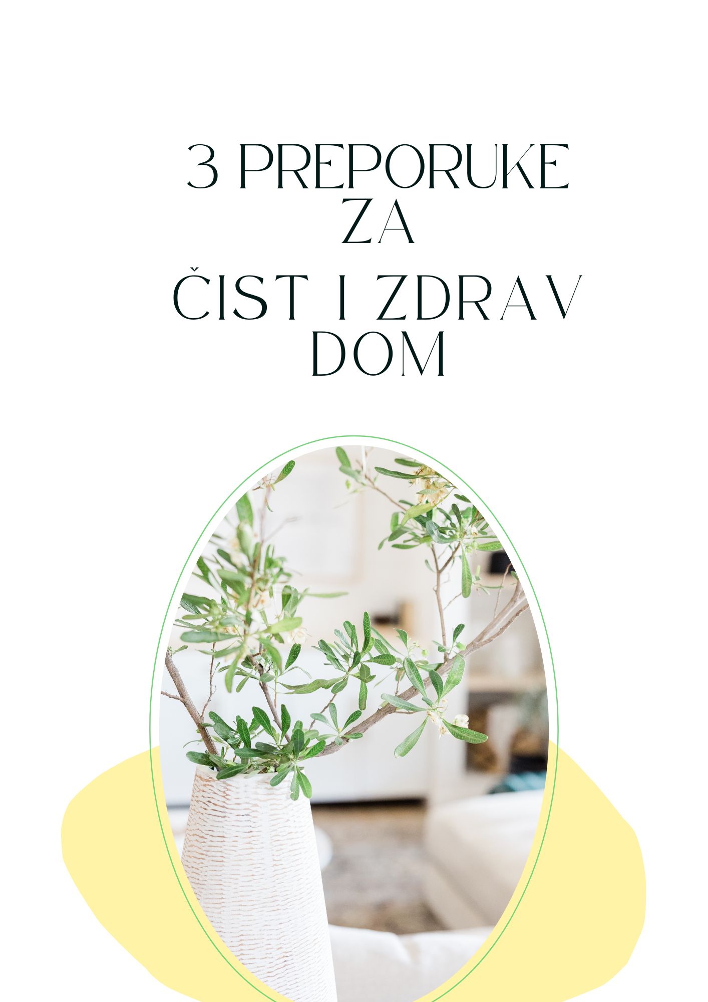 I čist, i zdrav dom