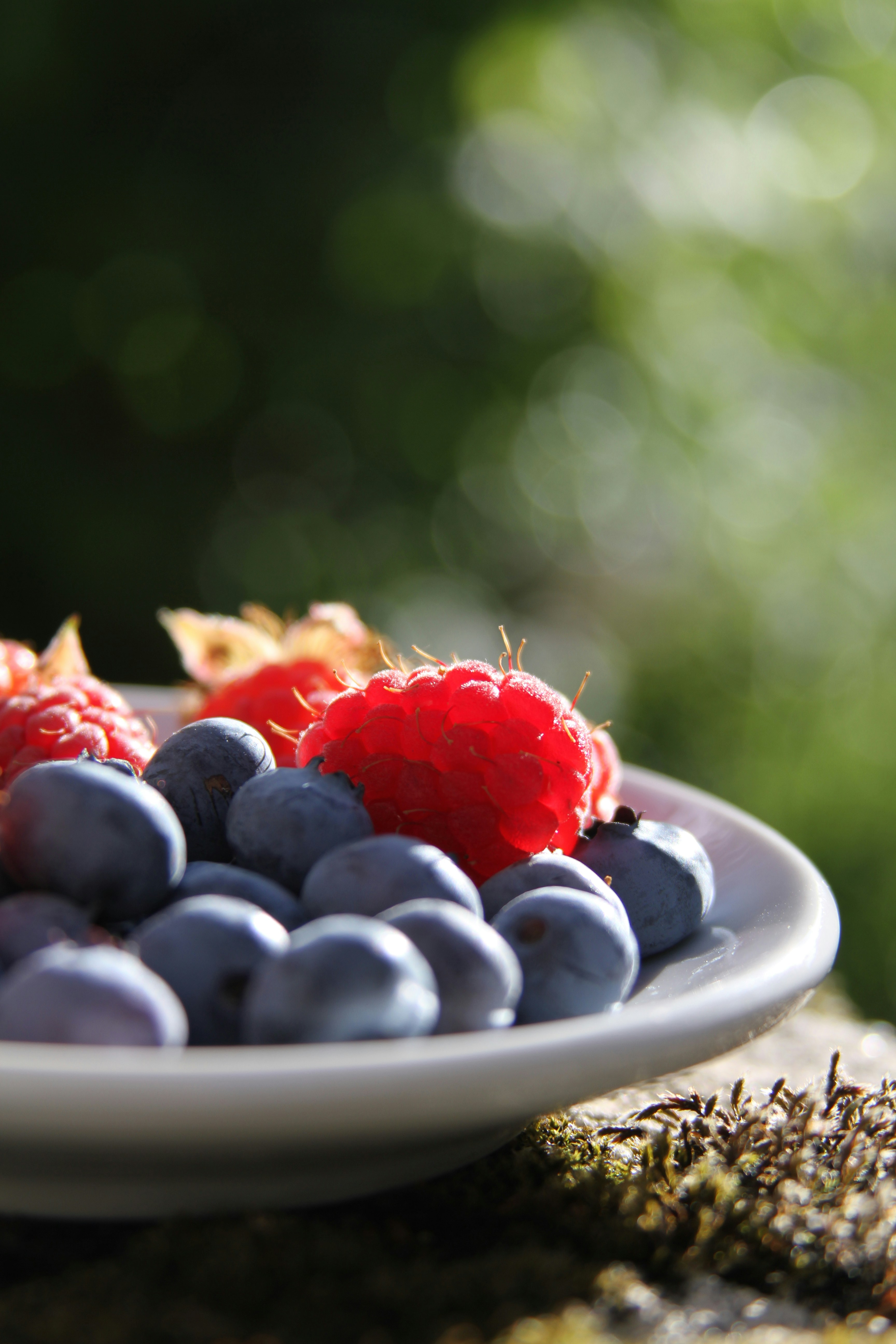 Get a Free Meal Blueprint to Help You Plan the Right Portions