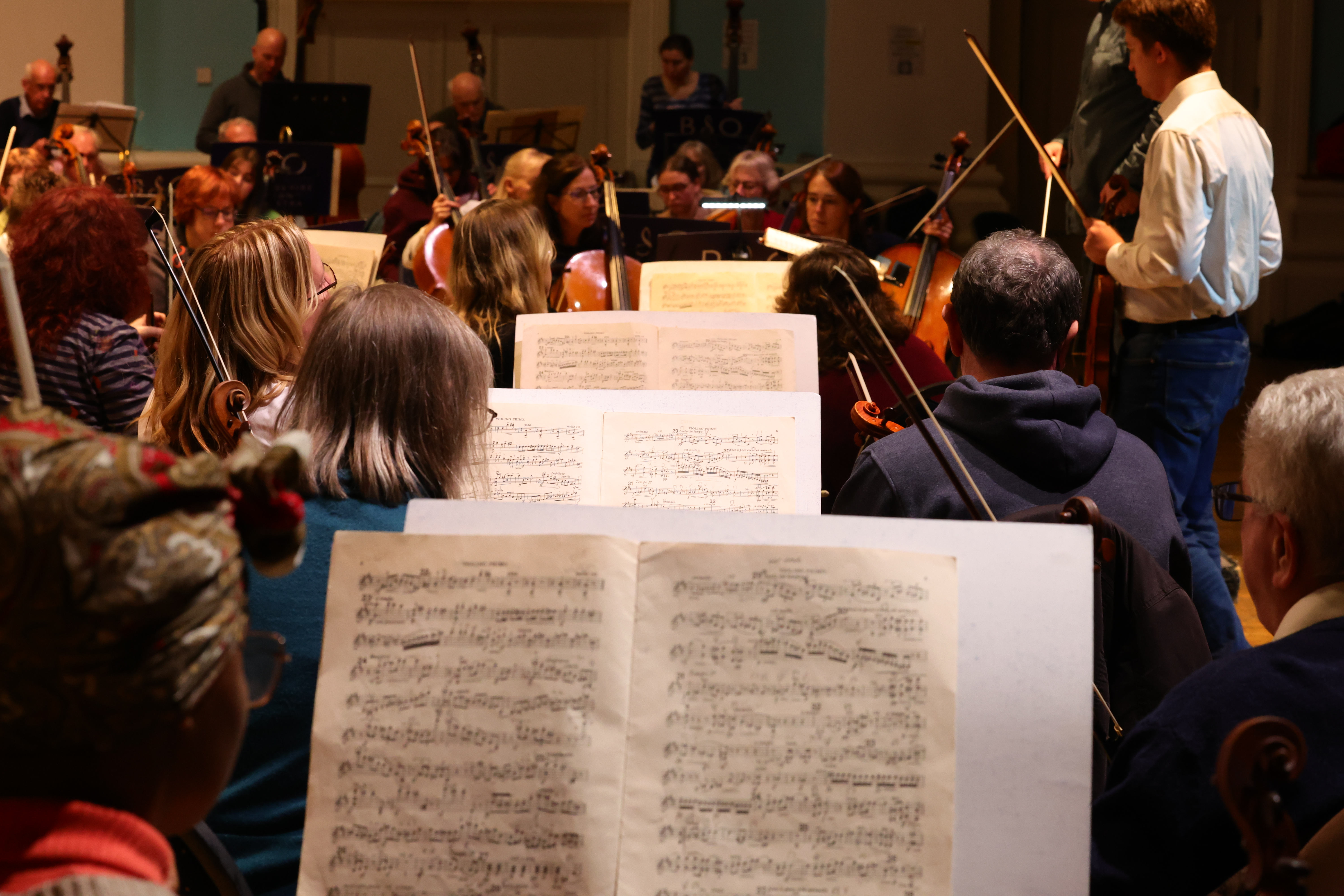 Get Bedfordshire Orchestral Society monthly updates delivered to your inbox
