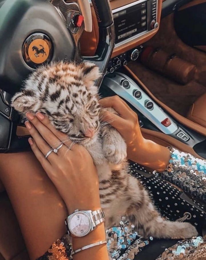 Luxury delivered to your email
