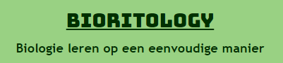 PDF download