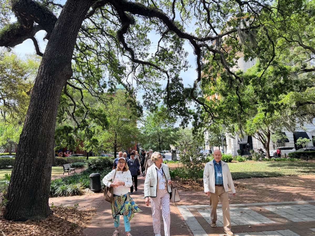 SALT Newsletter 4/12/26 - Get my BEST updates delivered to your inbox.