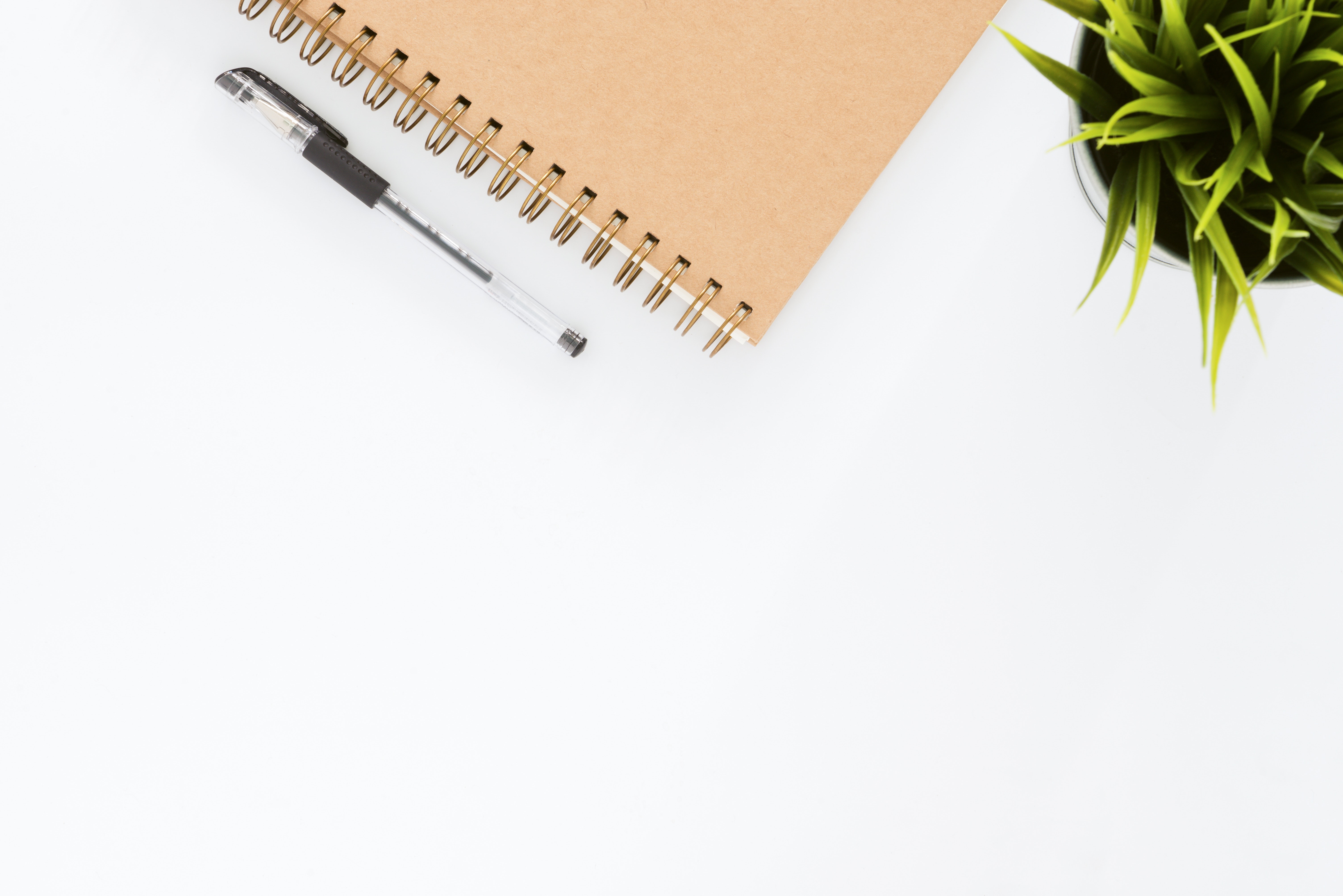 Get the latest updates on teaching how to write