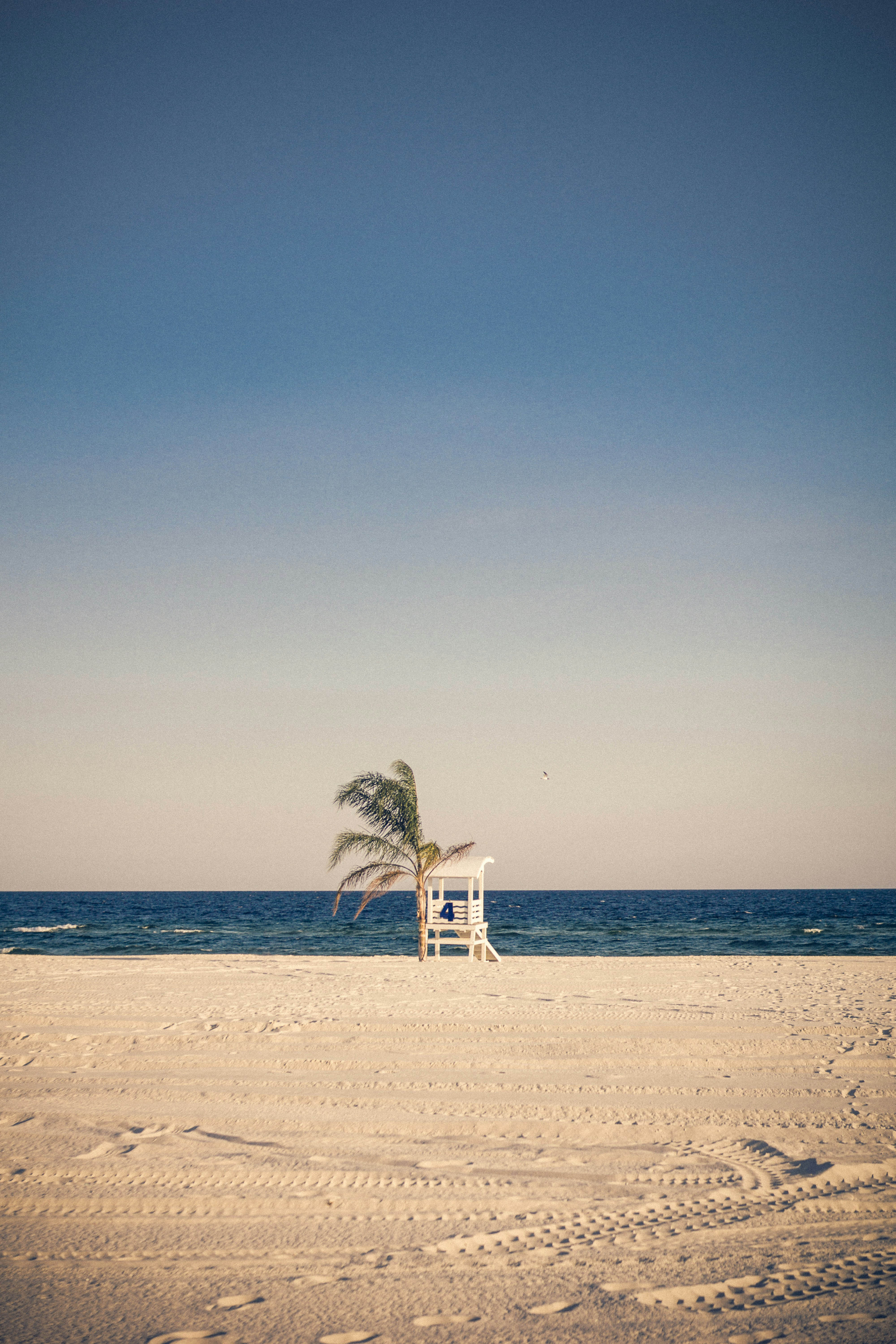 Alabama Gulf Coast Relocation Guide | Moving to Gulf Shores, Orange Beach & Foley
