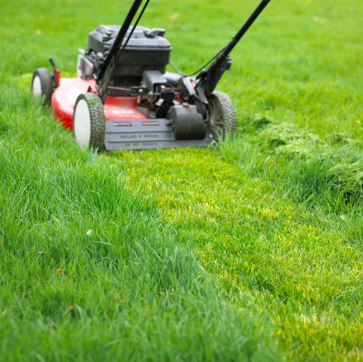 Wanted: 12-20 year olds to mow lawns around the Greater Toronto Area!